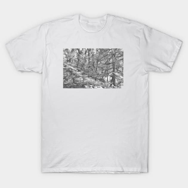 The Woods 12 by Kristalin Davis T-Shirt by Kristalin Davis